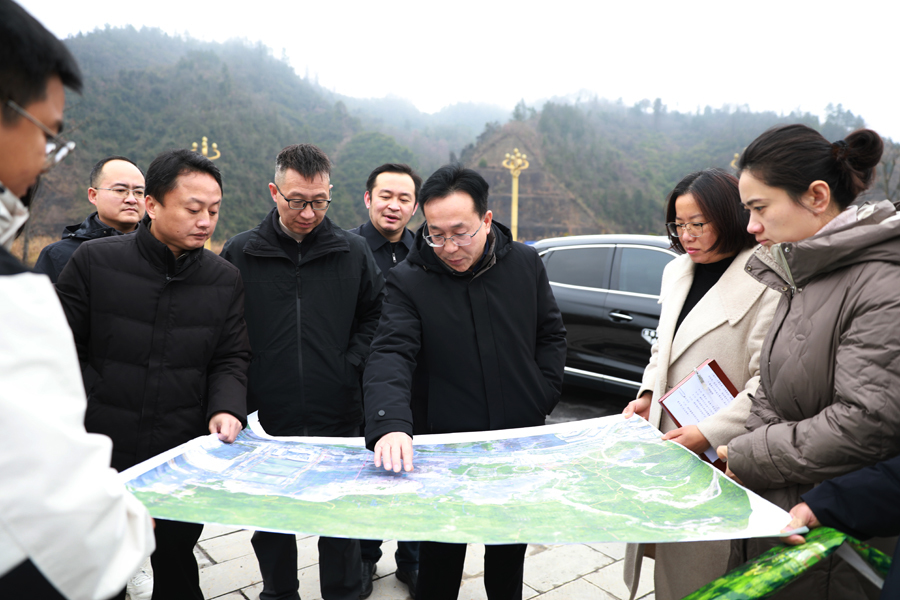 戴晓军调研园区重点项目建设工作