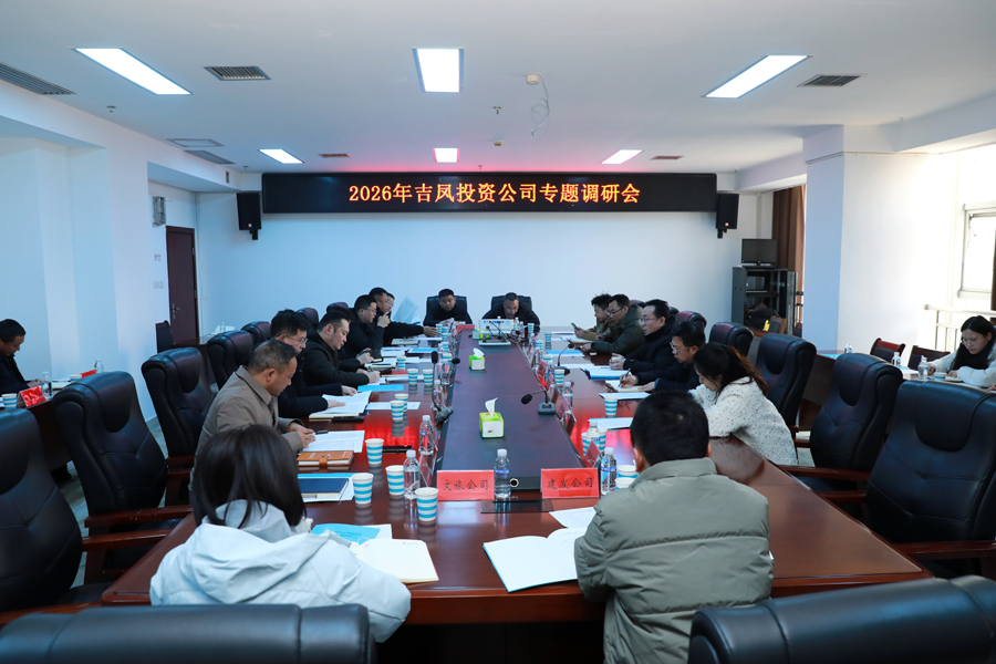 戴晓军调研吉凤投资公司2026年重点工作