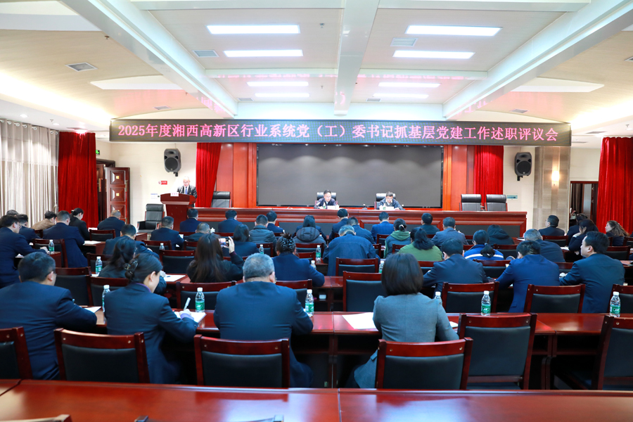 湘西高新区召开2025年度行业系统党（工）委书记抓基层党建工作述职评议会