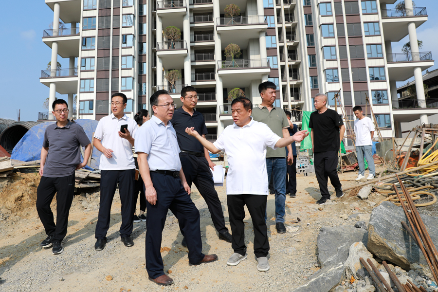 戴晓军调研吉凤森林新城建设工作