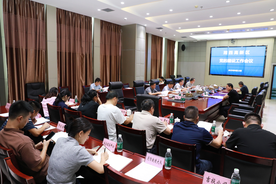湘西高新区召开党的建设工作领导小组会议